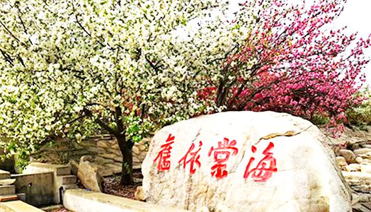 yp街机·电子游戏(中国)官方网站