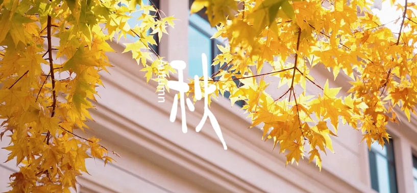 yp街机·电子游戏(中国)官方网站