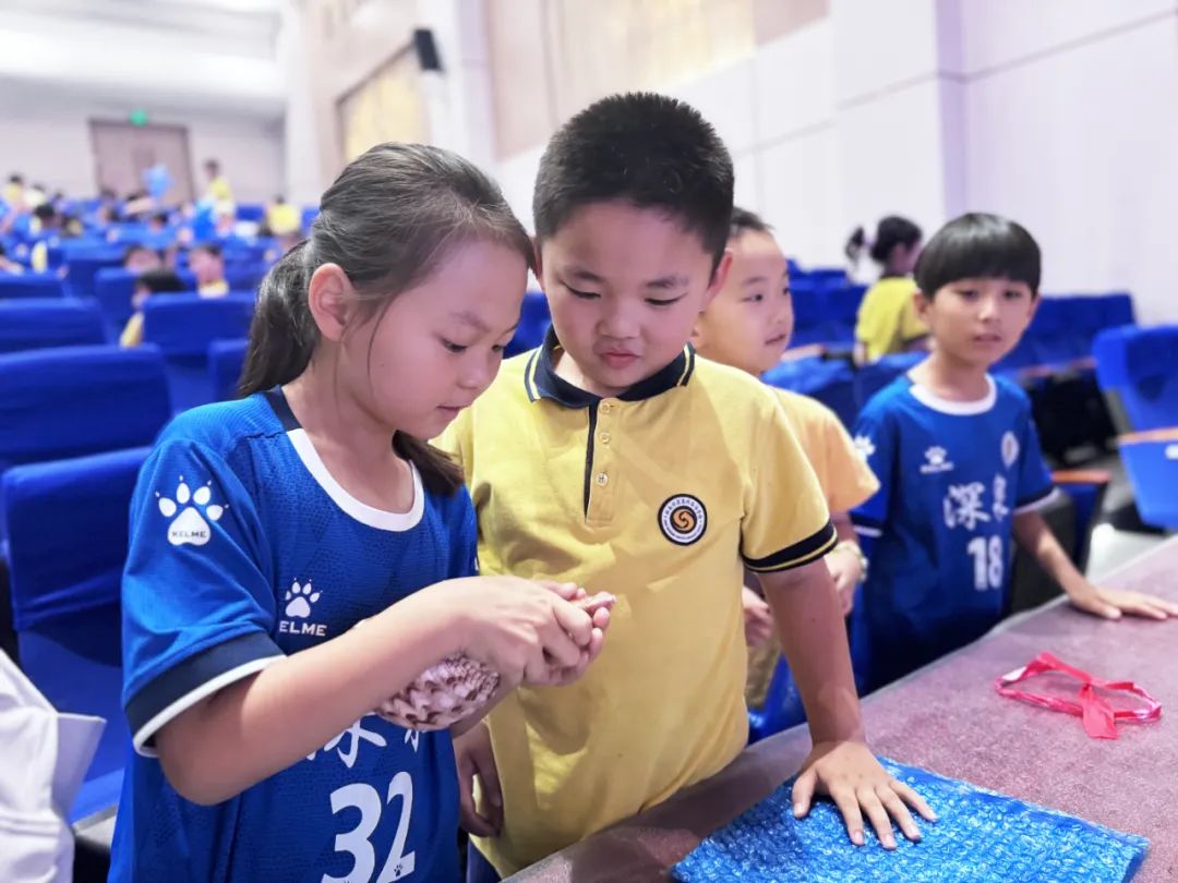 yp街机·电子游戏(中国)官方网站