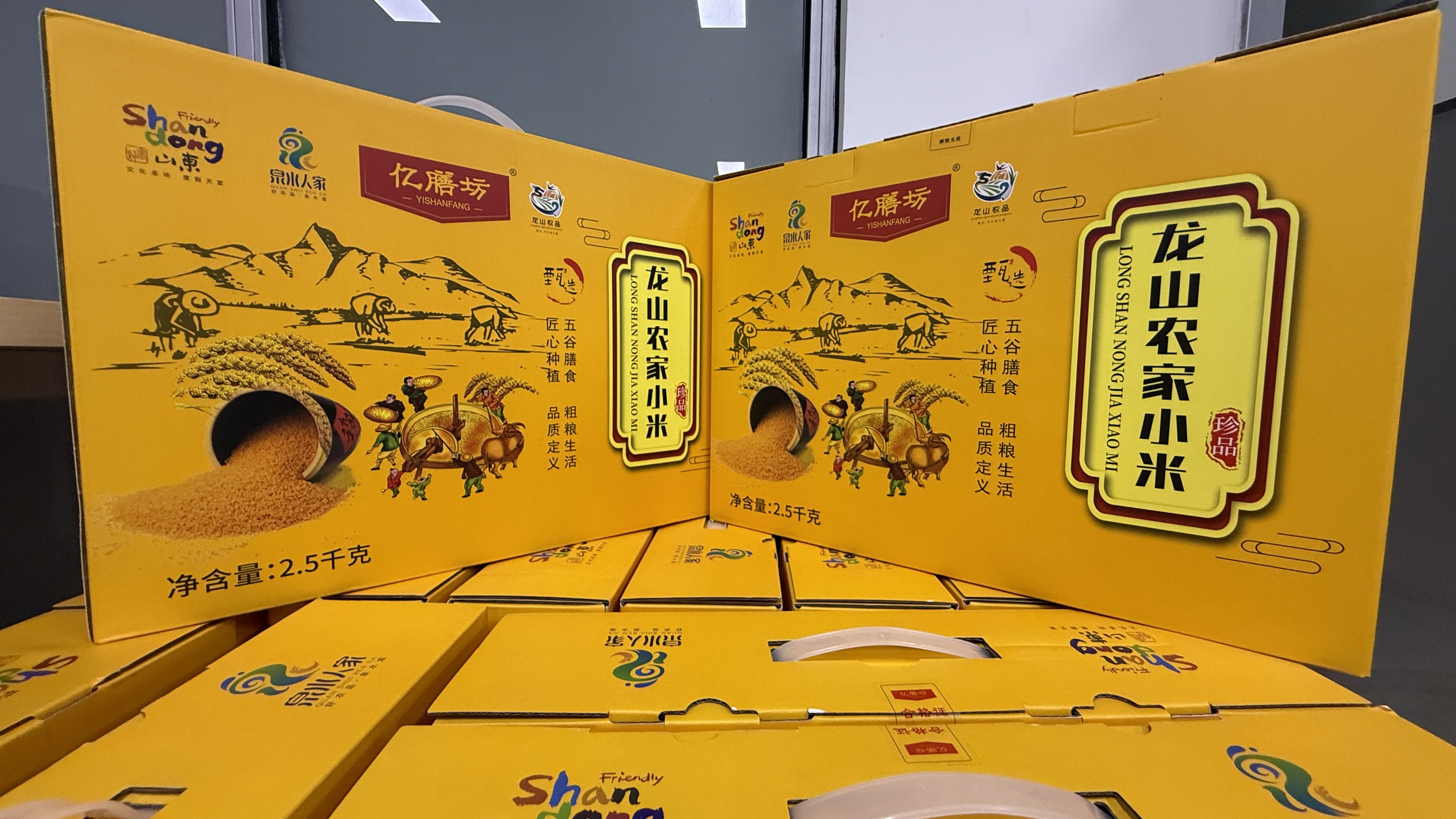 yp街机·电子游戏(中国)官方网站